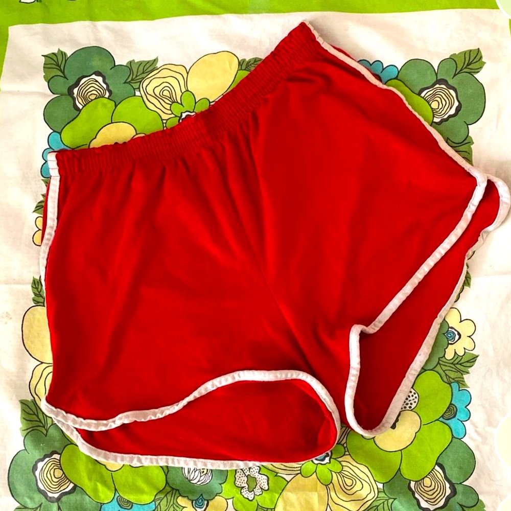 1980s vintage dolphin / athletic shorts